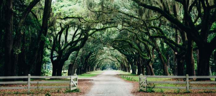 Funeral bratton Bratton funeral home york sc 29745