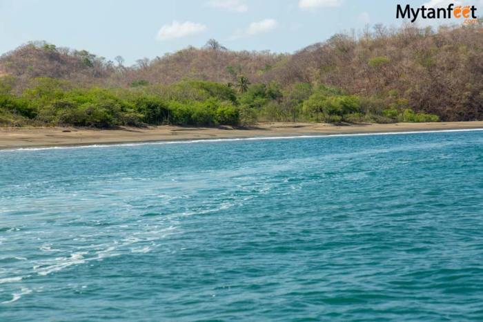 Playa flamingo walk-in snorkel tour