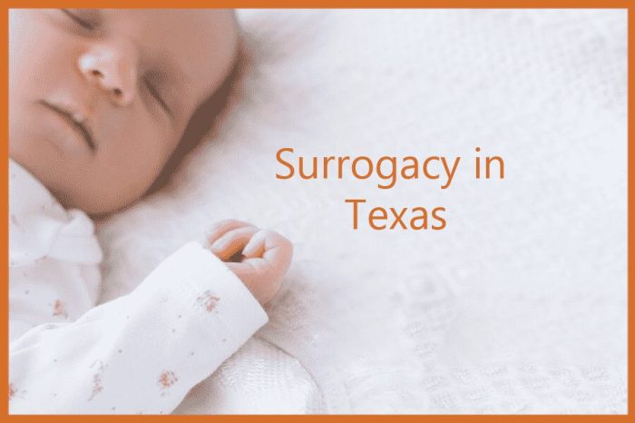 How much does surrogacy cost with insurance in texas