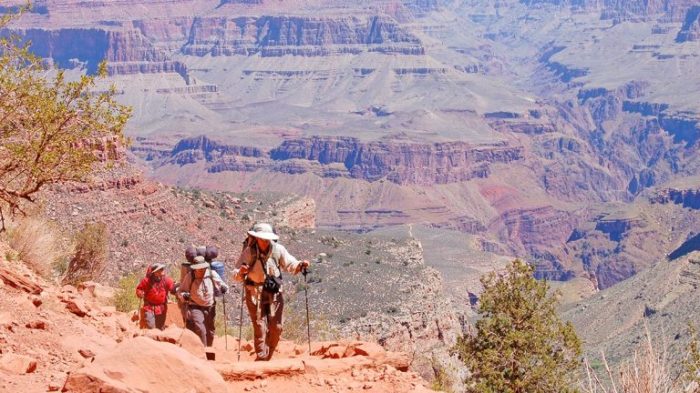 Train From Vegas to Grand Canyon A Journey Unveiled